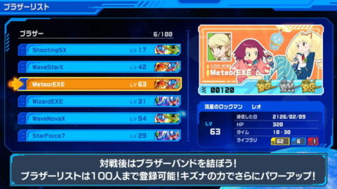 パーフェクトコレクションのオンライン要素 (2)