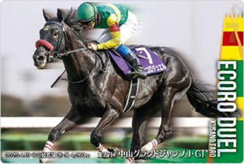 エコロデュエル 第27回中山グランドジャンプ(J・GI)