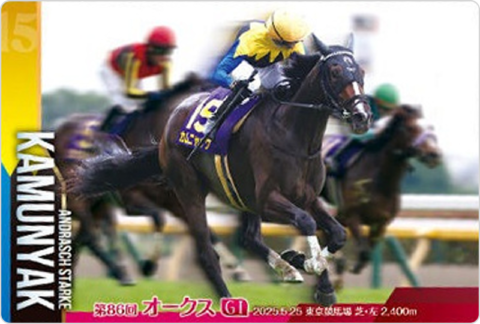 カムニャック 第86回優駿牝馬(GI)