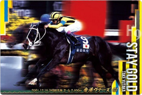 ステイゴールド 香港ヴァーズ(GI)
