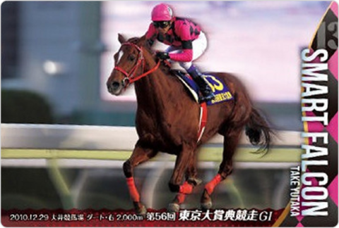 スマートファルコン 第56回東京大賞典競走(GI)