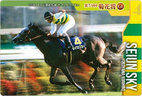 セイウンスカイ 第59回菊花賞(GI)