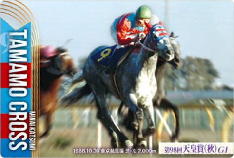 タマモクロス 第98回天皇賞(秋)(GI)