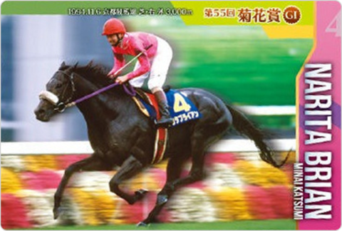 ナリタブライアン 第55回菊花賞(GI)