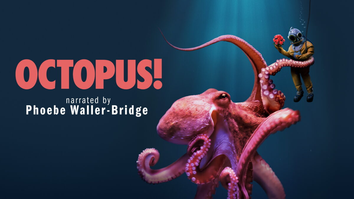 オクトパス！ ～未知なる生命体タコの世界～（Octopus!／アメリカ）シーズン1の画像