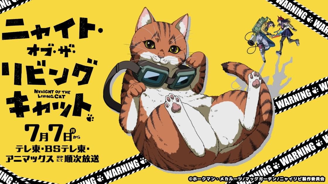ニャイト・オブ・ザ・リビングキャットの画像