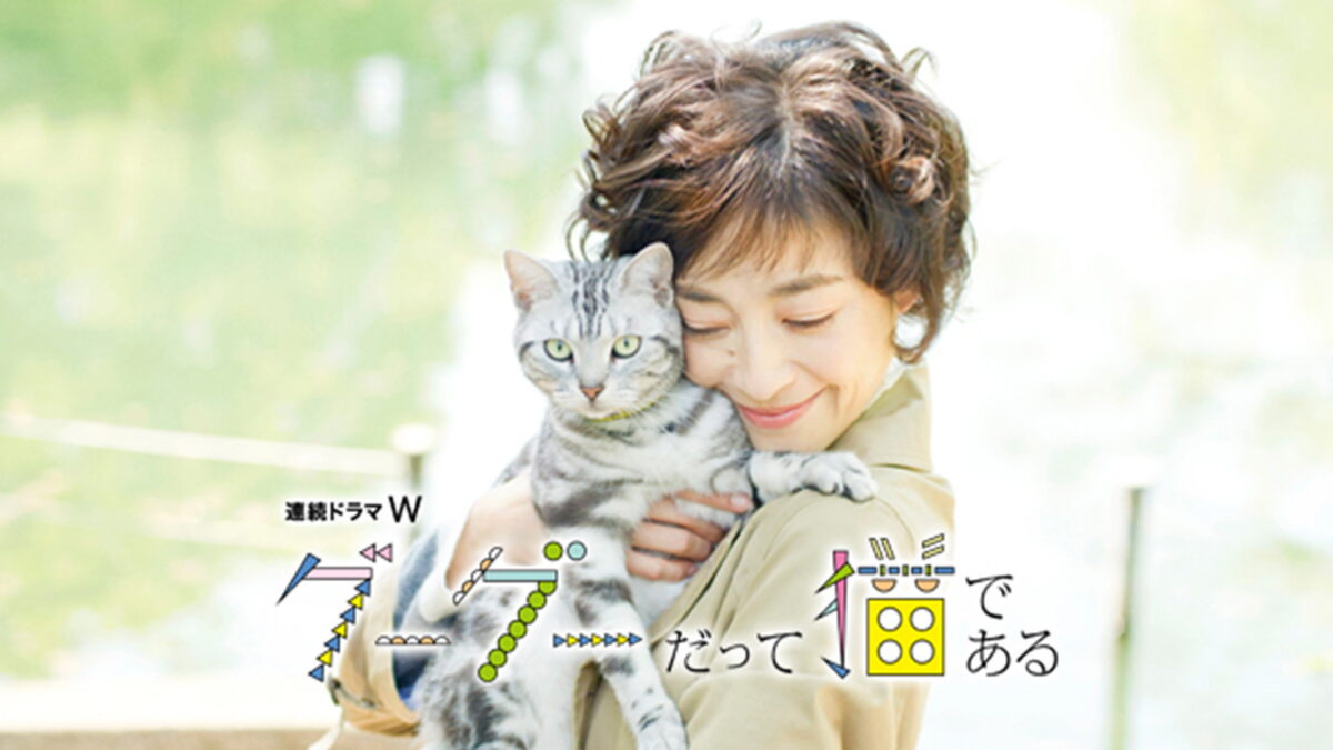 グーグーだって猫であるの画像