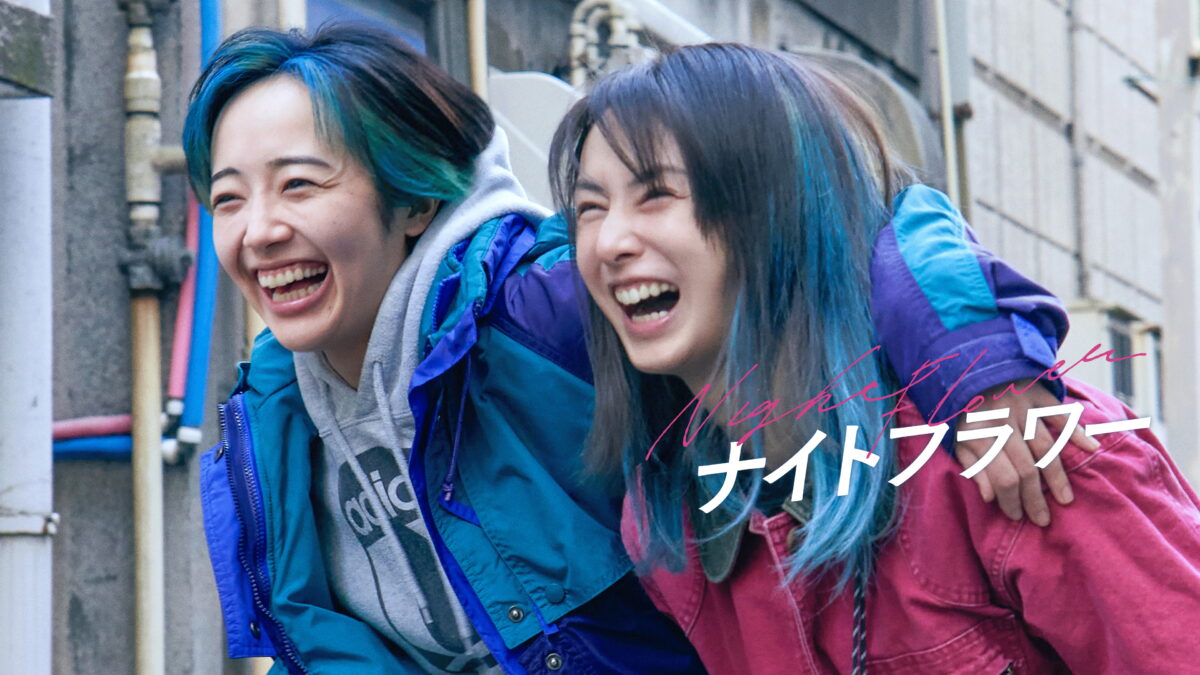 ナイトフラワーの画像