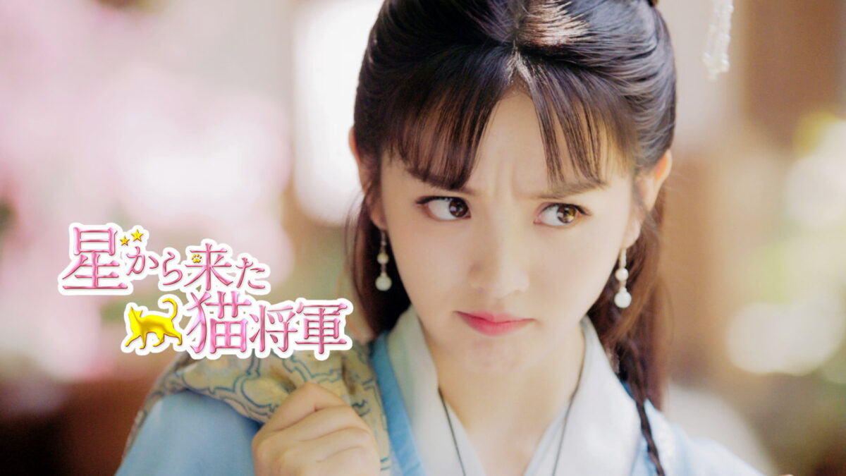 星から来た猫将軍の画像