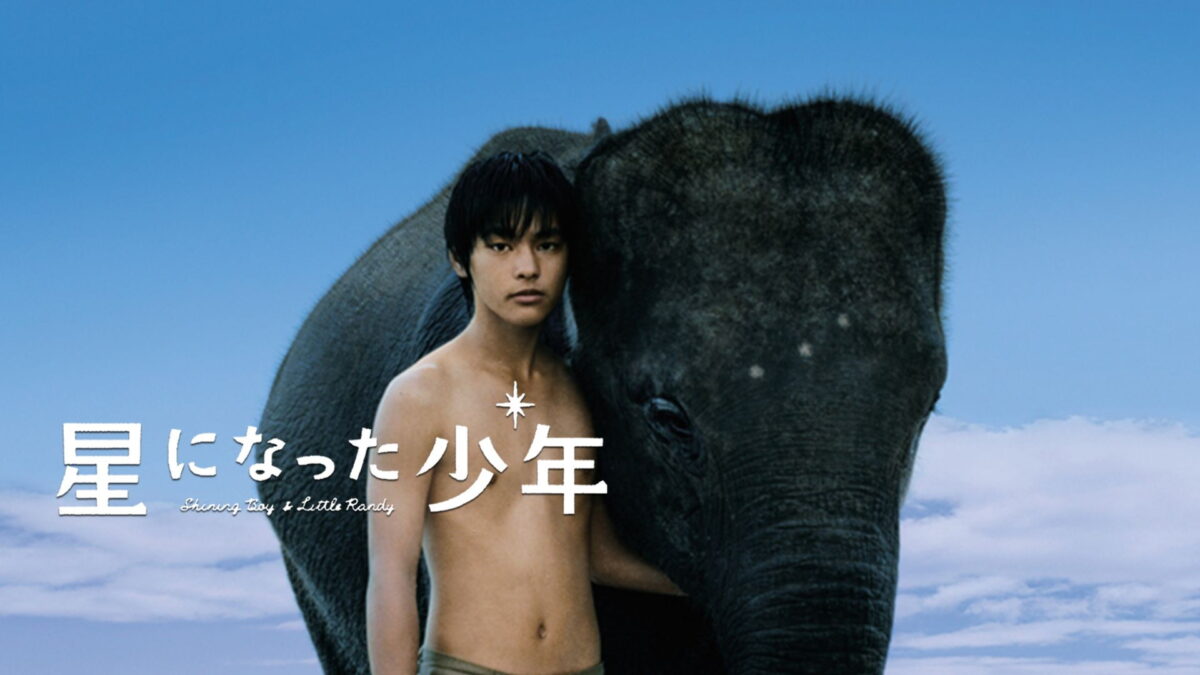 星になった少年 Shining Boy & Little Randyの画像