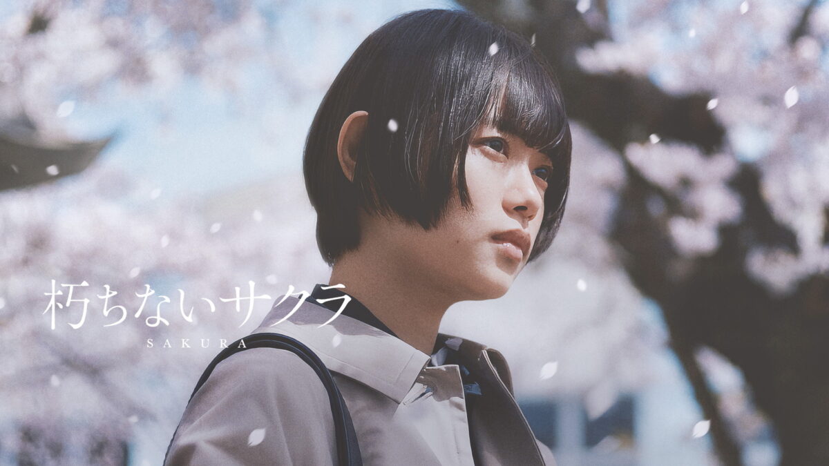 朽ちないサクラの画像