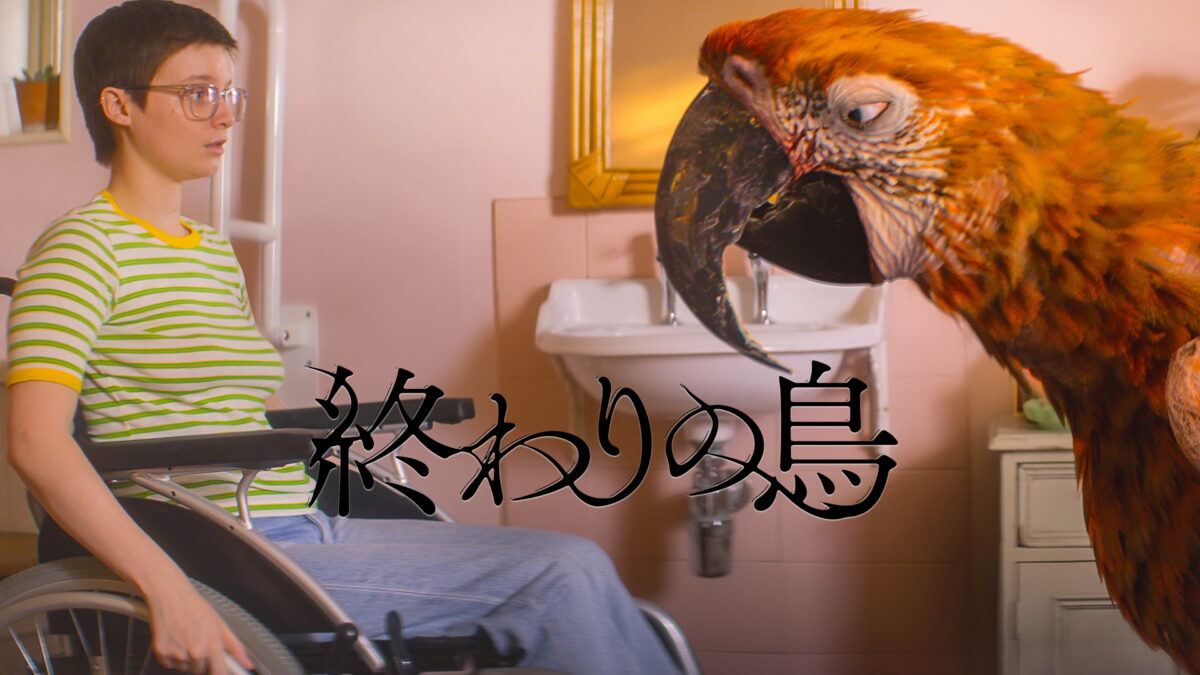 終わりの鳥の画像