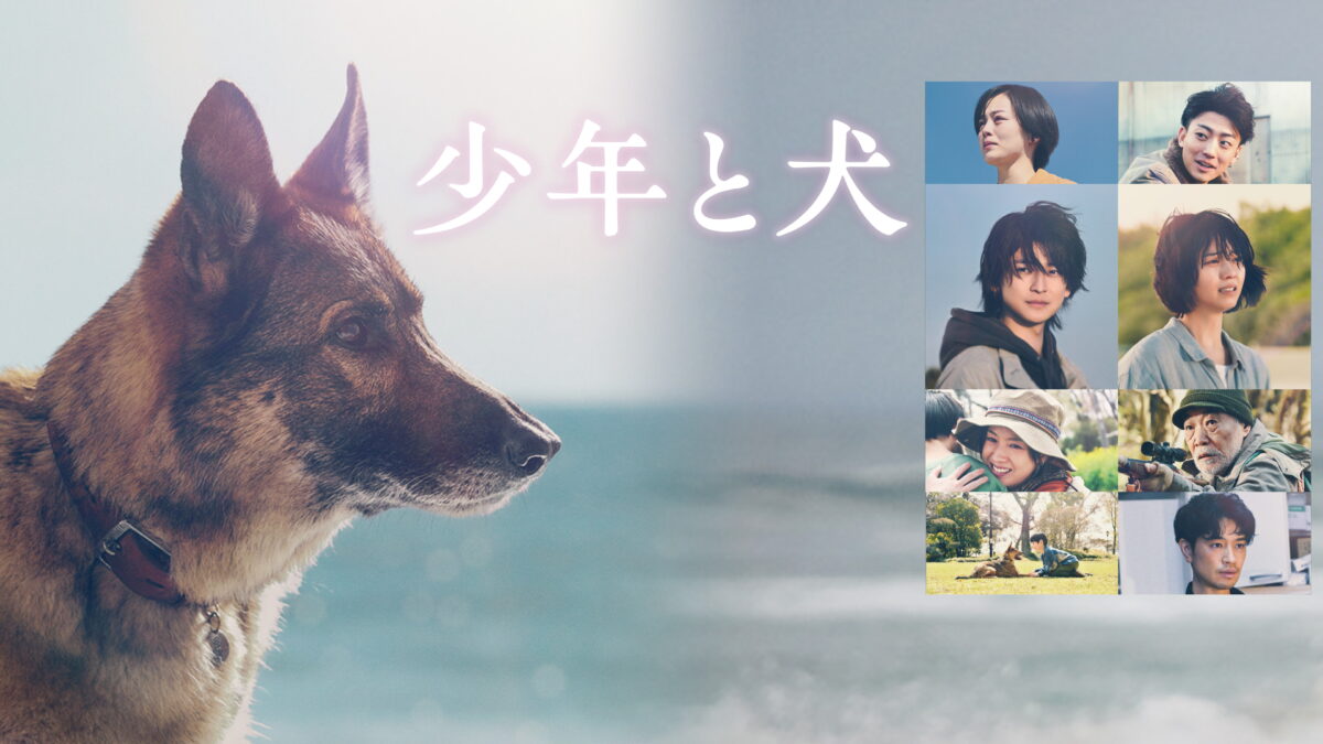 少年と犬の画像