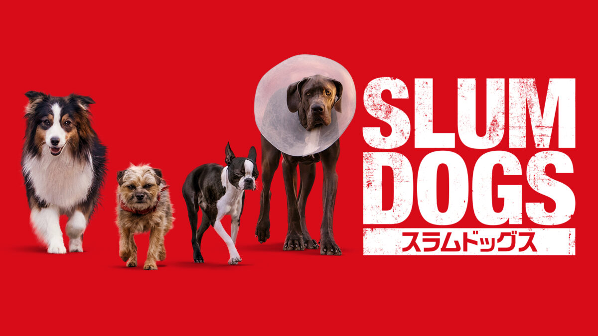 スラムドッグスの画像